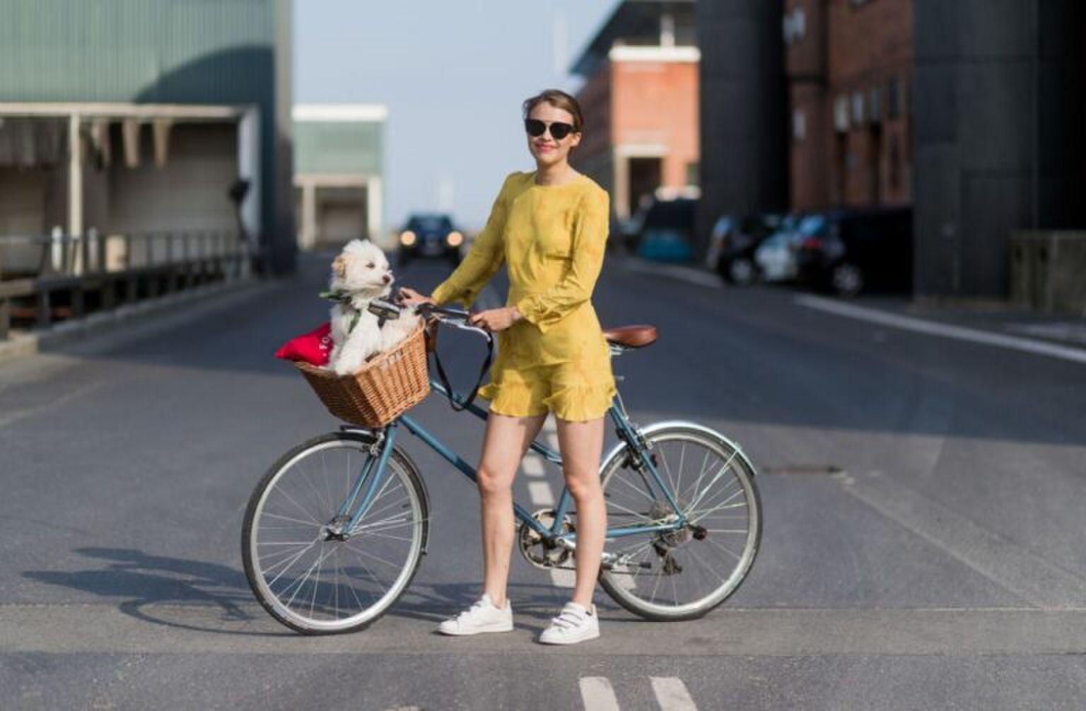 Waarom een half uurtje fietsen per dag hartstikke goed voor je is