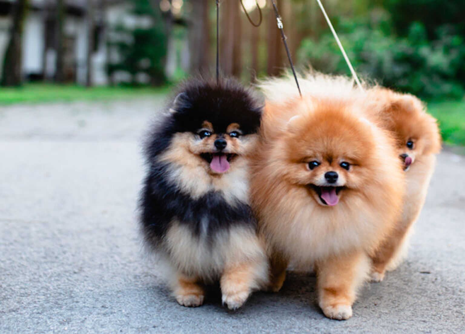 7 dingen die je kunt doen om anderen te helpen in deze tijd