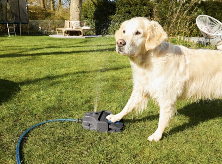 Deze waterfontein (aka hontein) geeft jouw hond verkoeling deze zomer
