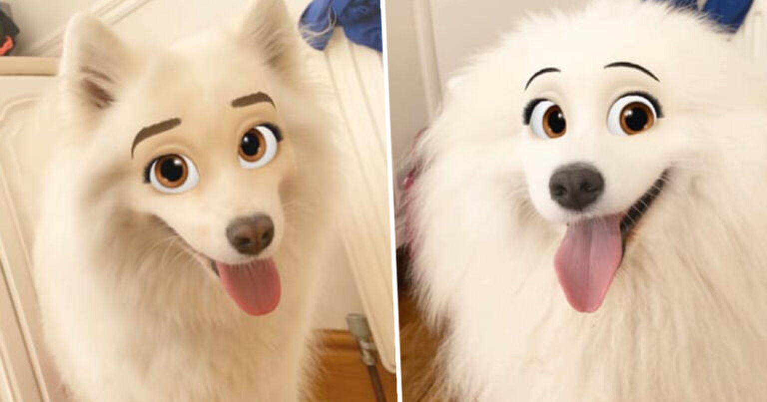 CUTE! Jouw hond lijkt op een Disneyfiguur met dit Snapchat-filter