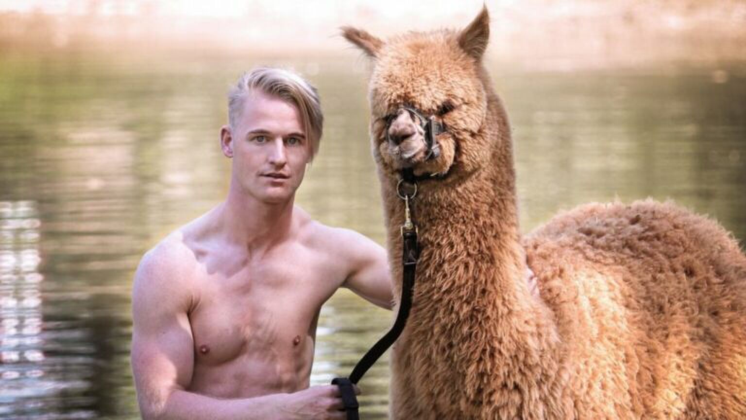 Lachen: er bestaat nu een kalender van knappe mannen m&eacute;t Alpaca&rsquo;s