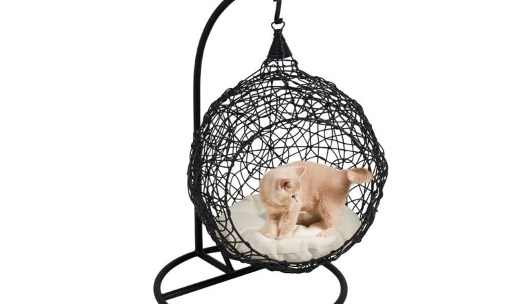 Aanbiedingen week 40: dit zijn de beste koopjes