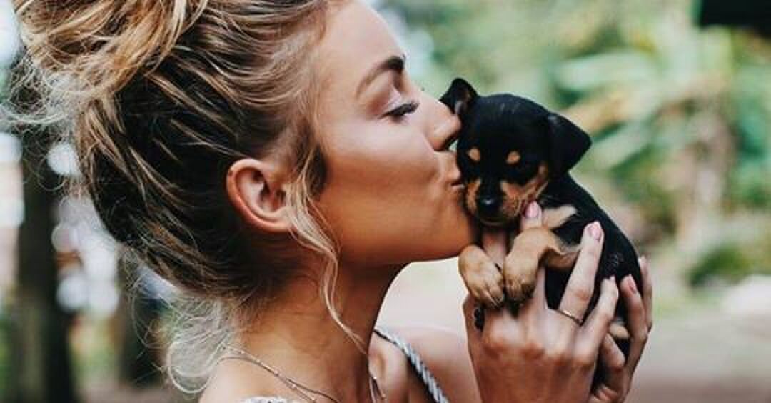 Dit herken je als je een hondenmens bent