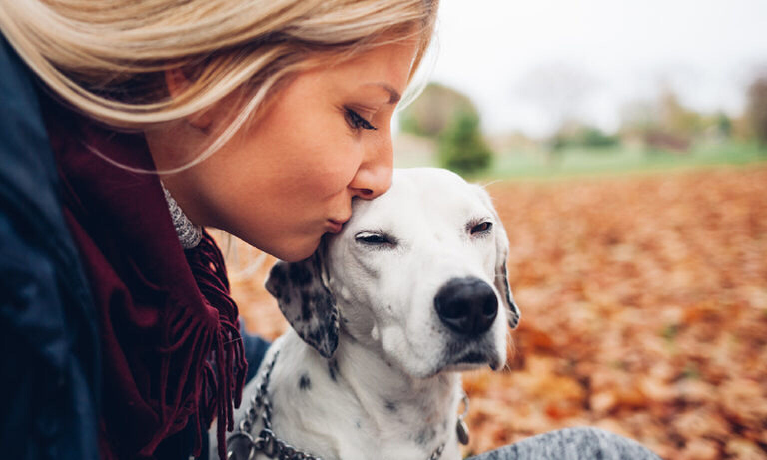Dit zijn de meest voorkomende hondennamen in Nederland