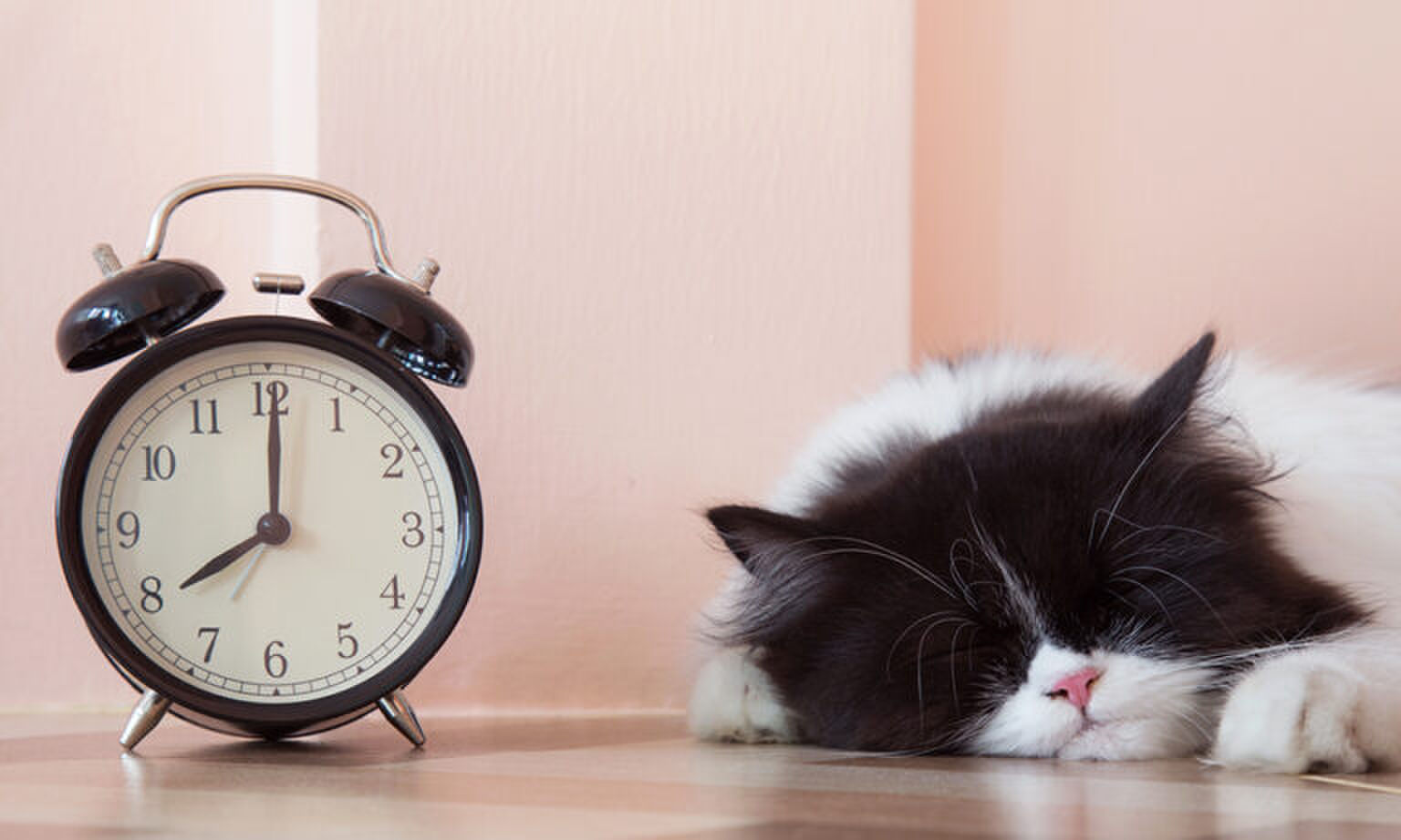 Dit herken je alleen als je een hekel aan maandag hebt