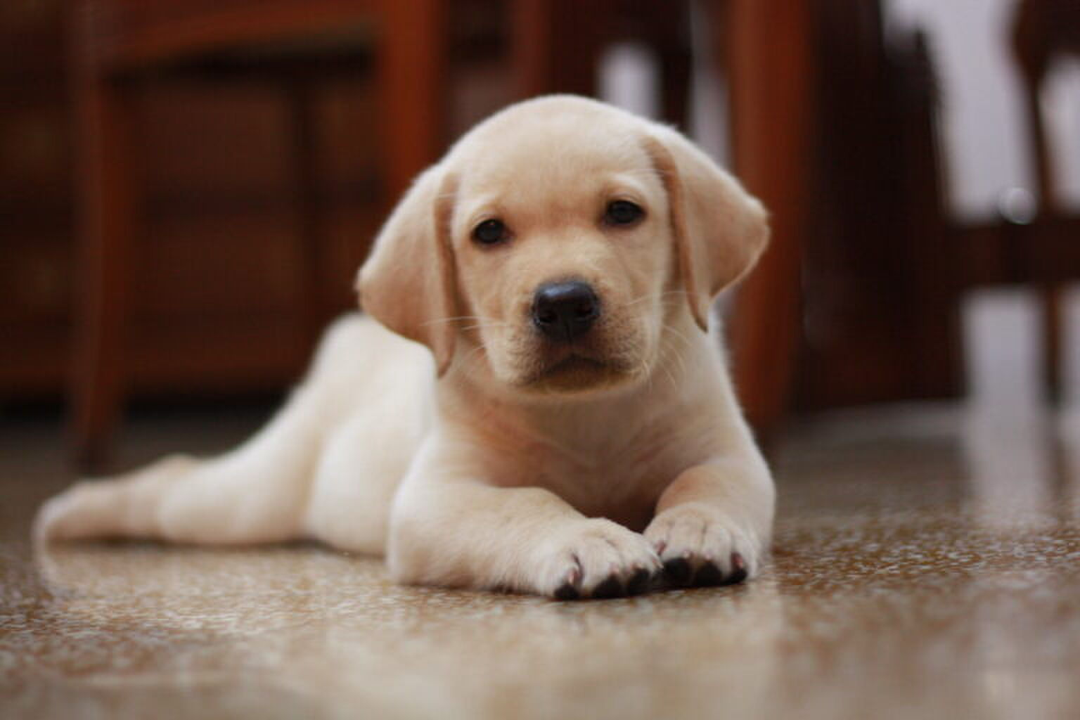 Wereldreizigers opgelet: via deze livestreams krijg je het gevoel dat je op vakantie bent