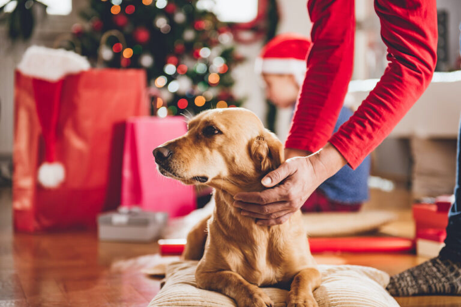 Dit zijn de leukste cadeau&rsquo;s om deze kerst aan hem te geven