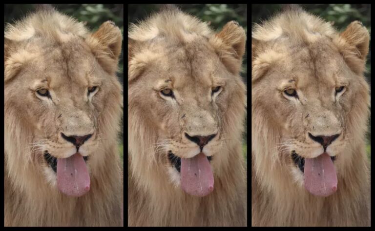 Online daten? Dit zijn 5 van de grootste ergernissen die je kunt hebben