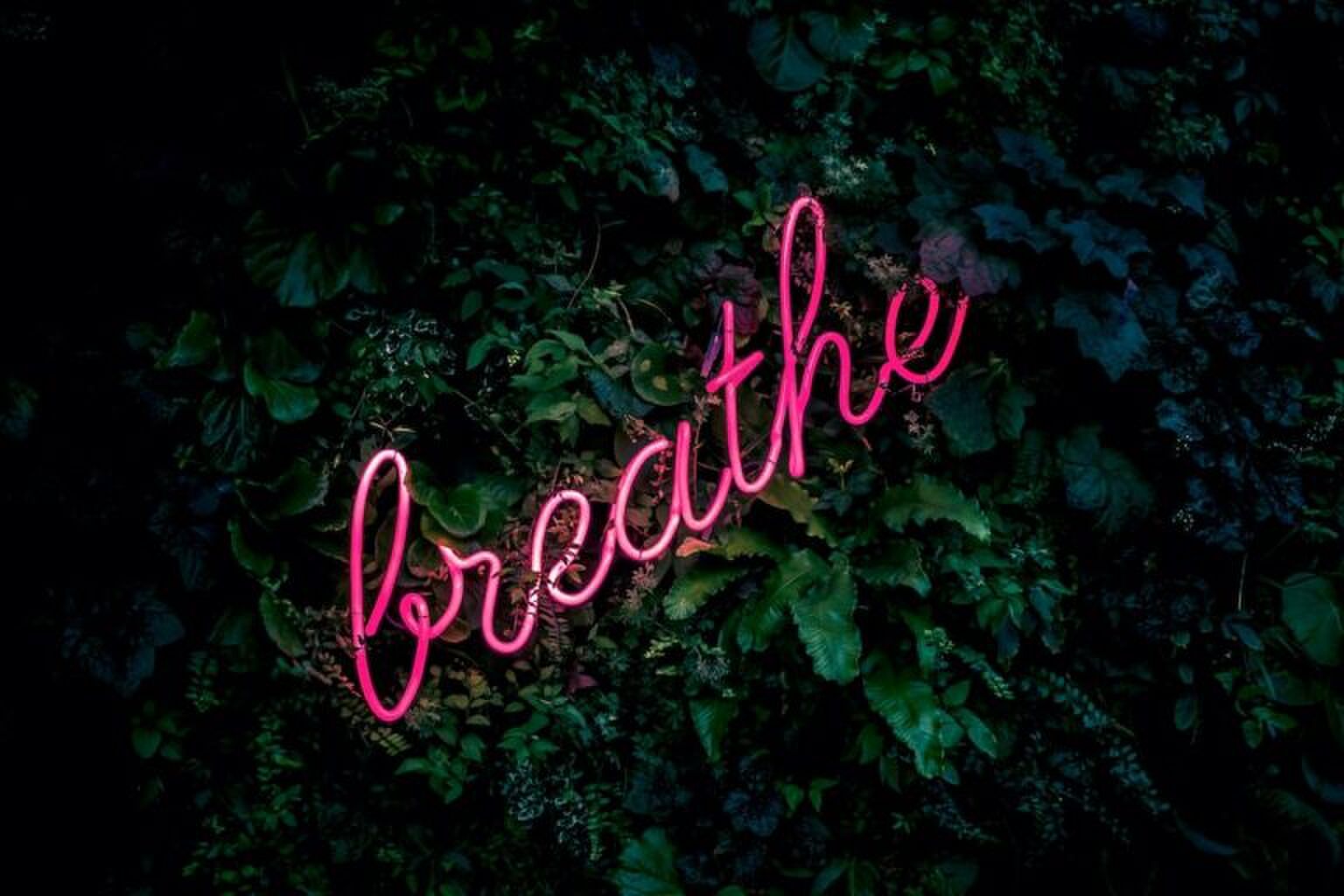 Just breathe: dit is de makkelijkste manier om te leren mediteren