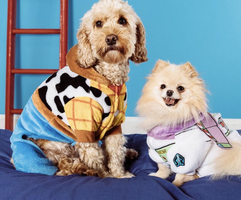 Super cute: Primark verkoopt deze Disney kostuums voor jouw hond