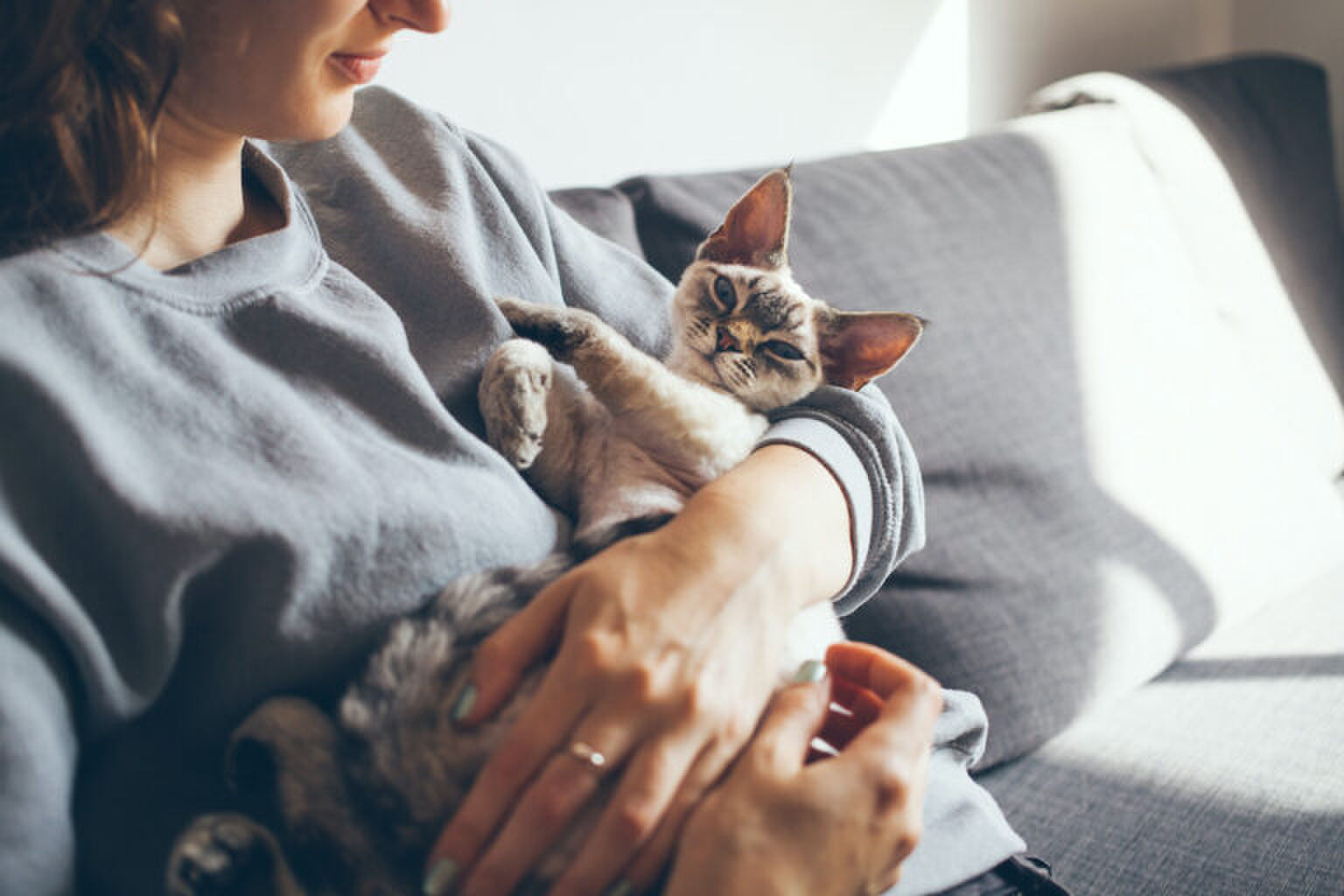 Er bestaat nu Tinder voor katten (om voor jou de perfecte kat te vinden)