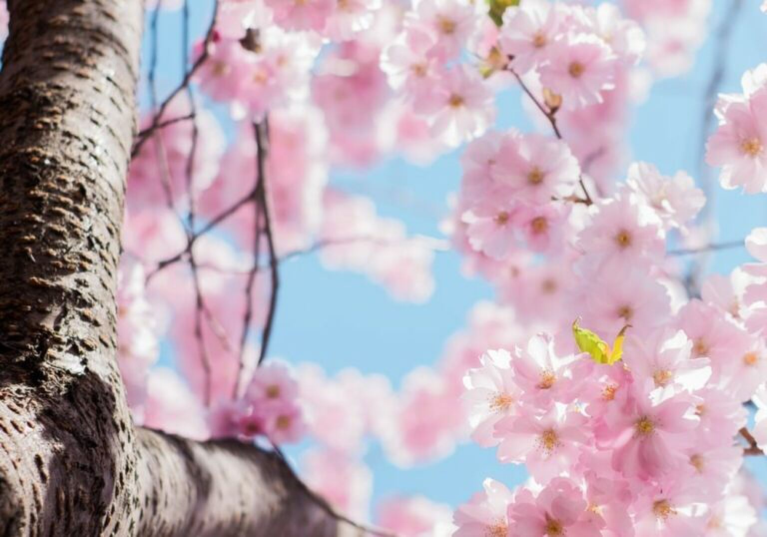 Shopping time: de mooiste broeken voor de lente 2021