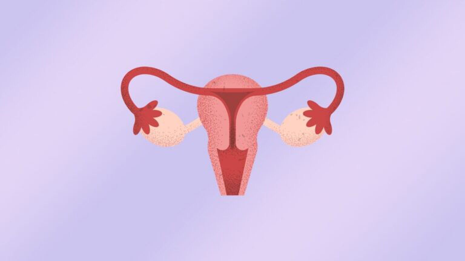 Foto van een baarmoeder.