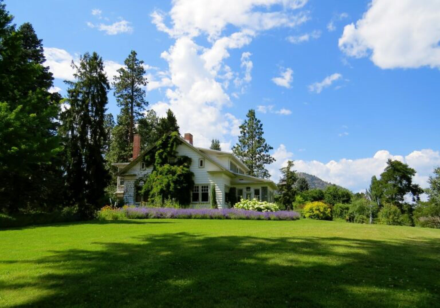 Met deze items maak jij jouw balkon of kleine tuin helemaal spring ready