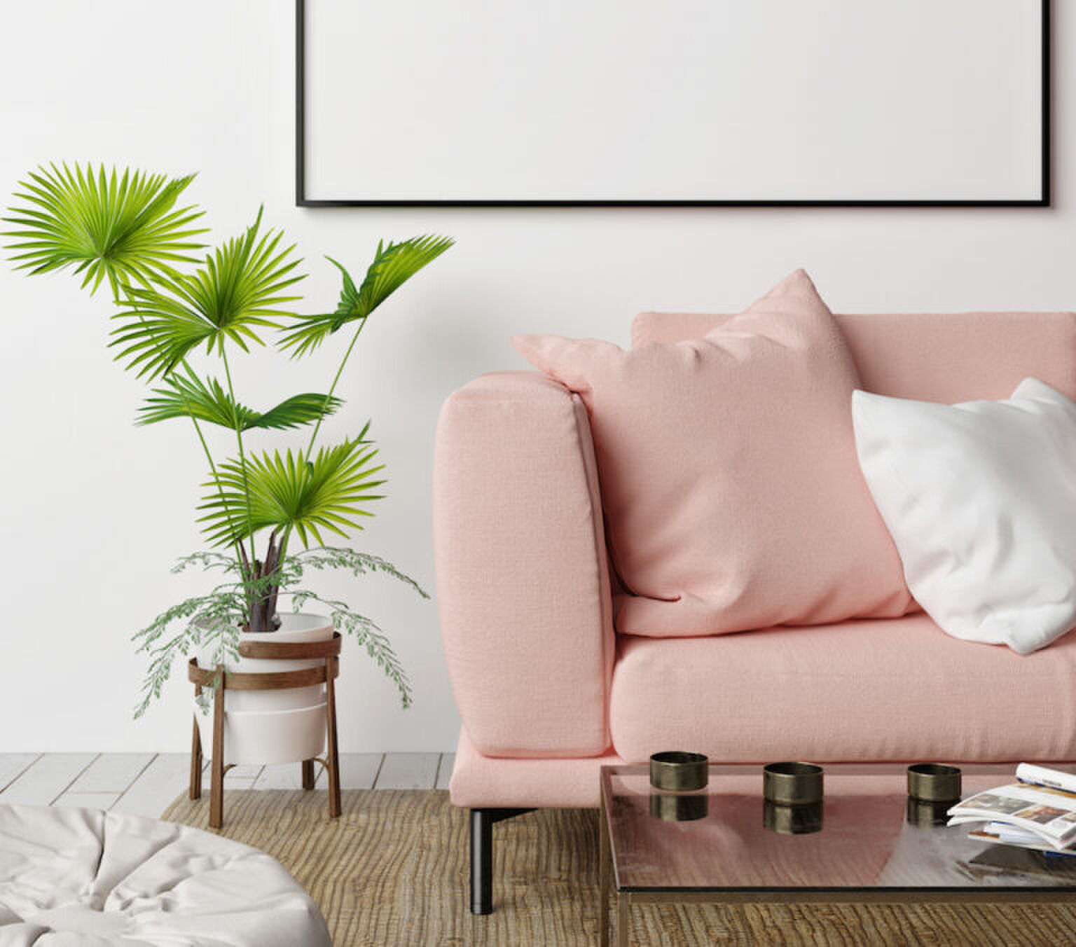 Planten die geschikt voor mensen bij wie planten altijd dood gaan