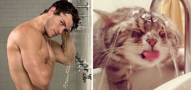 Te schattig: mannen en katten die hetzelfde poseren