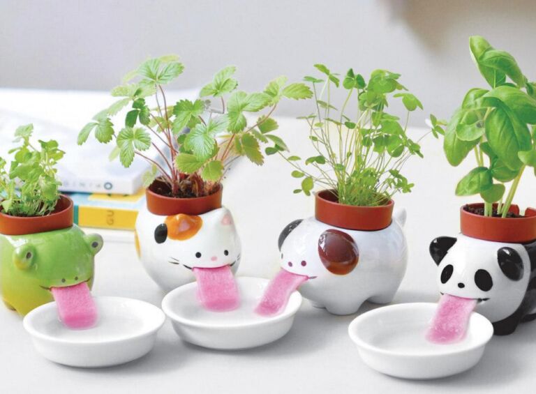 Met deze te schattige vaasjes voeden jouw planten zichzelf