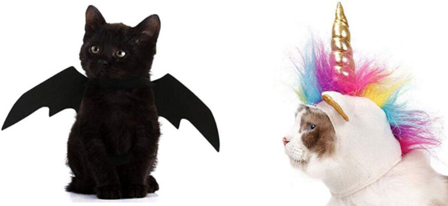 Hilarisch! Er bestaan nu Halloween-pakjes voor je kat