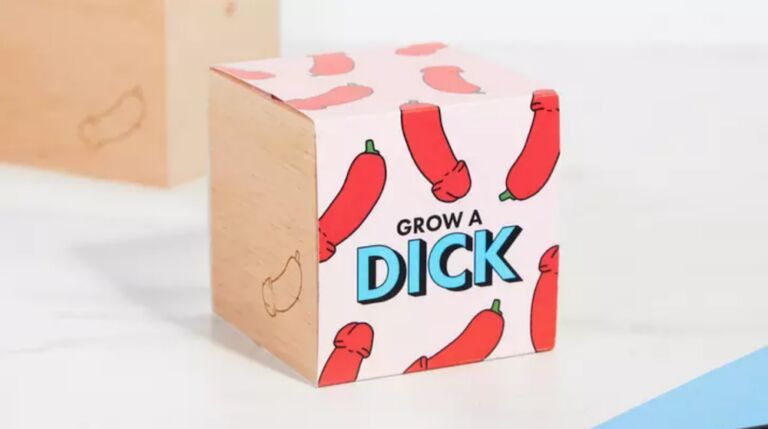 Kamerplanten zijn verleden tijd: koop hier je eigen piemelplant