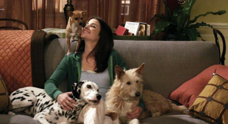 Aan deze 5 dingen merk je dat je beter een hond dan een partner kan nemen