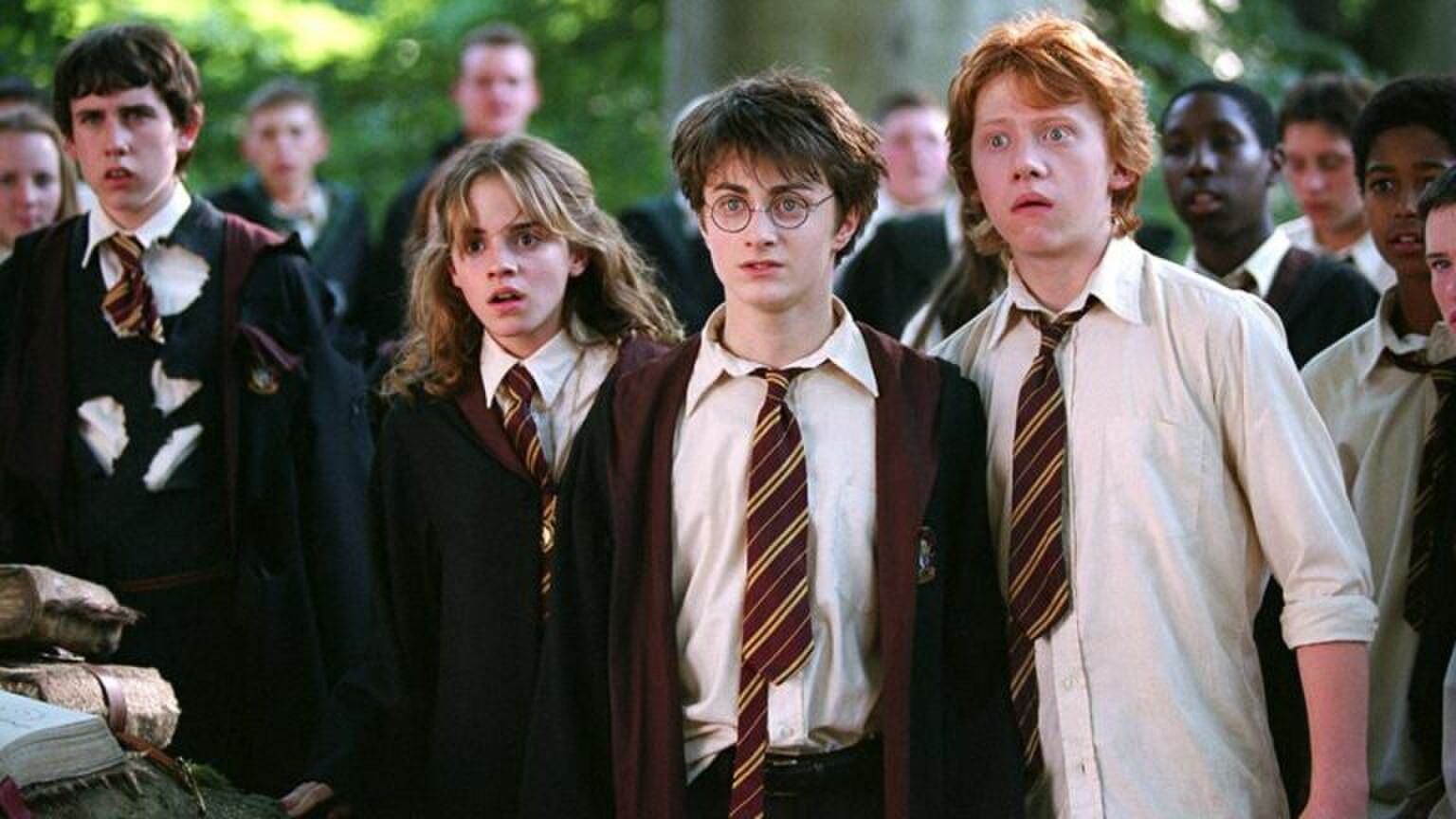 Harry, Hermione en Ron uit Harry Potter.