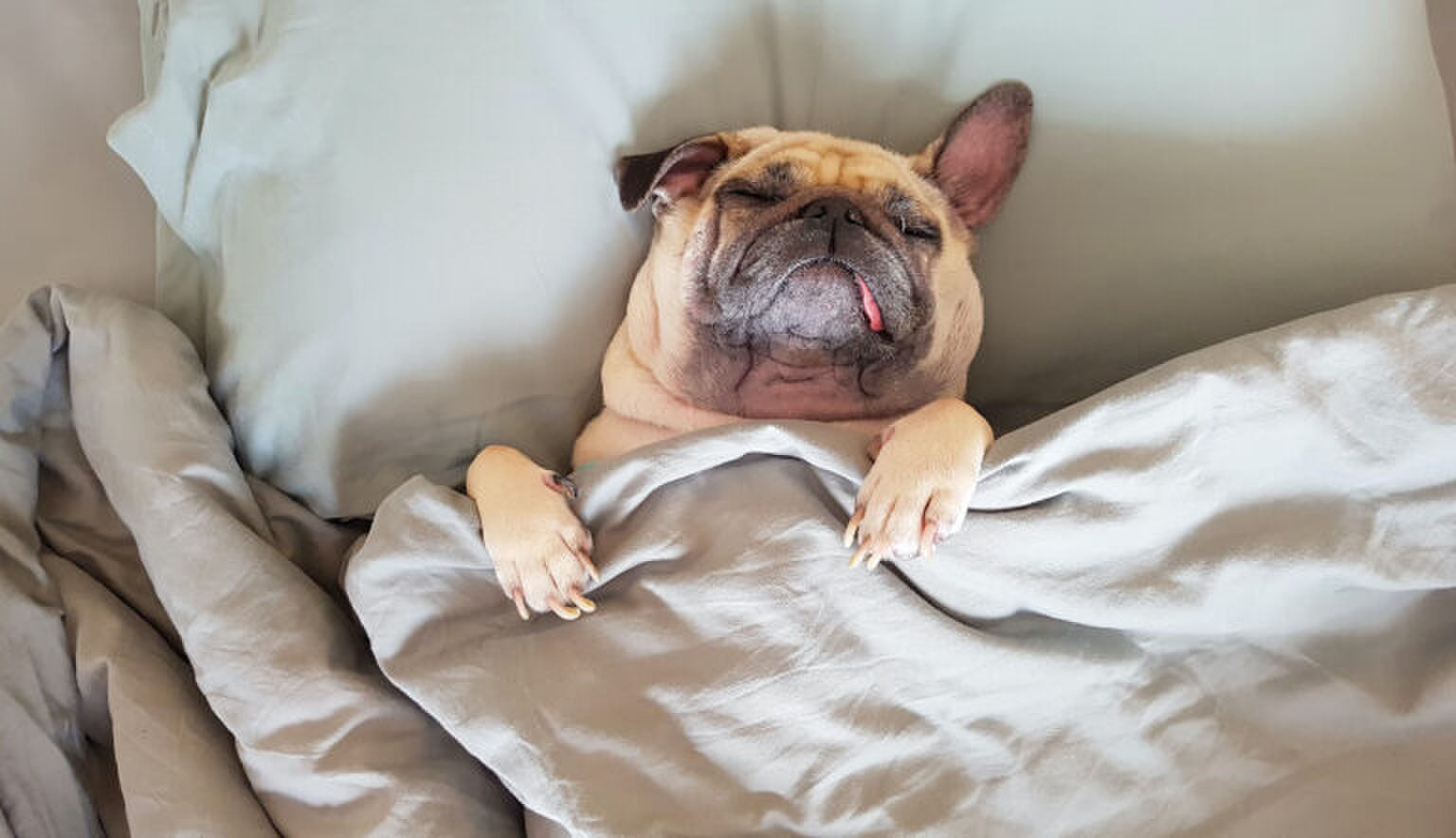 Slechte slaper? Met deze tips slaap jij als een roos