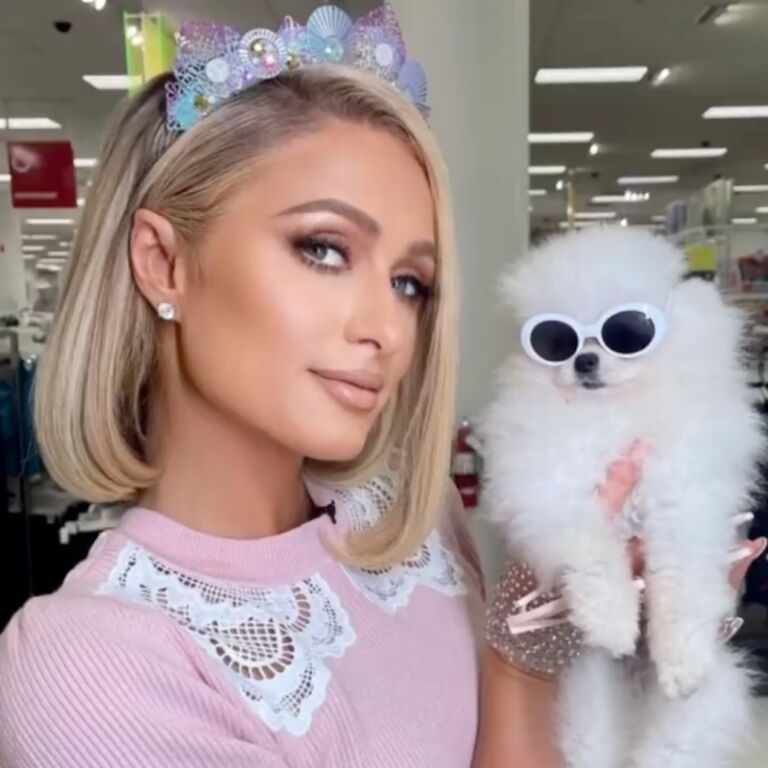 Zien: dit zijn alle huisdieren van Paris Hilton (en het zijn er mega veel!)