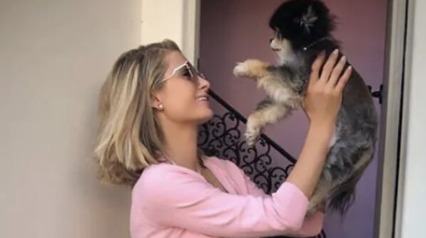 OMG! Paris Hilton heeft een luxe villa voor haar 20 hondjes!