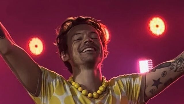 harry-styles-stalker