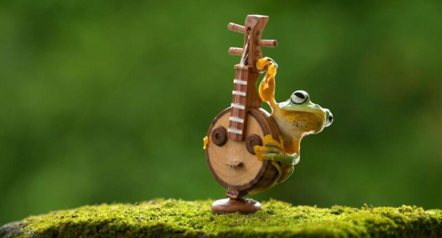 Een kikker op een klein gitaartje in de natuur.