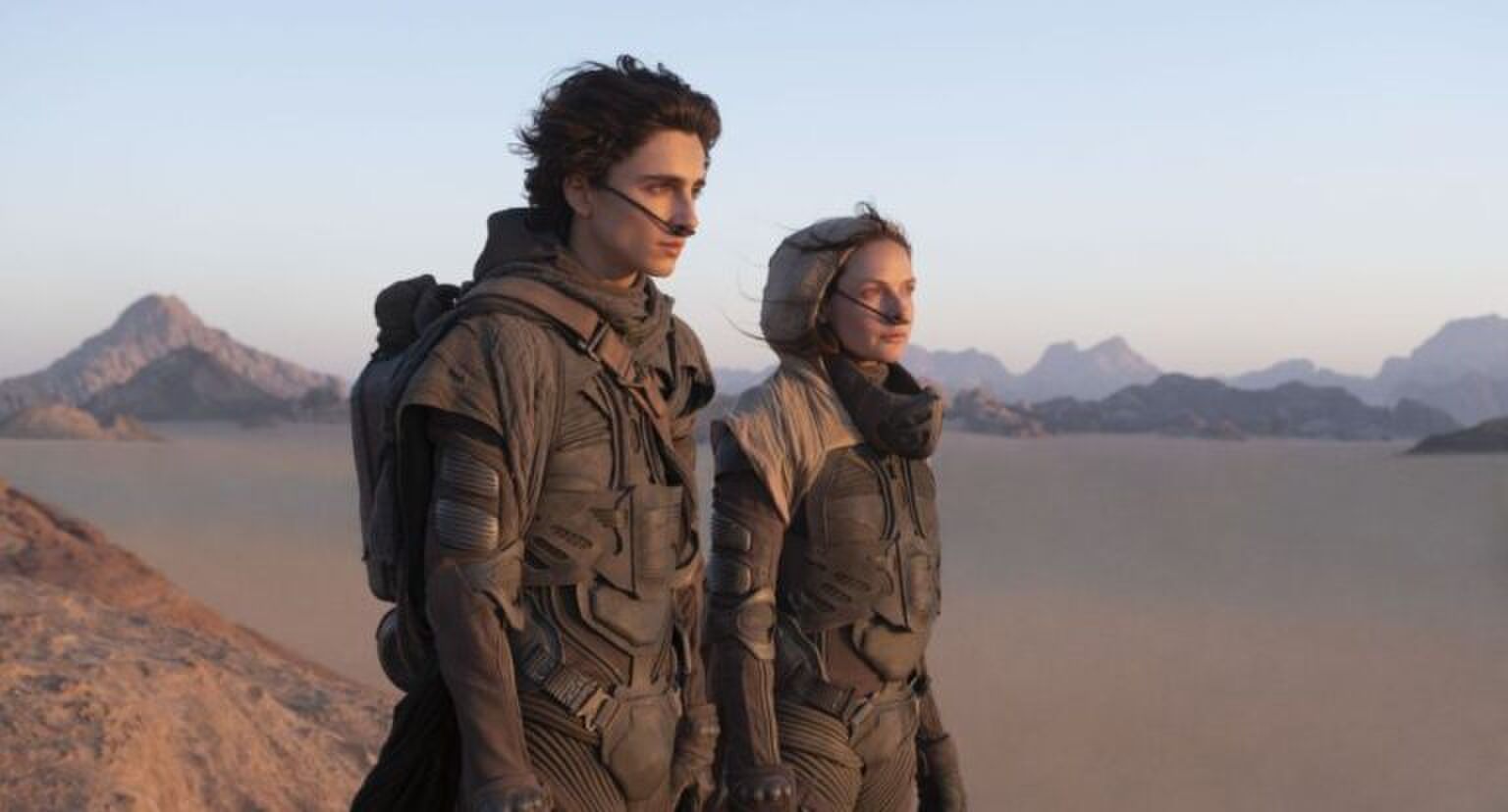 Een scene uit Dune waarbij Timoth&eacute;e uitkijkt over het zand.