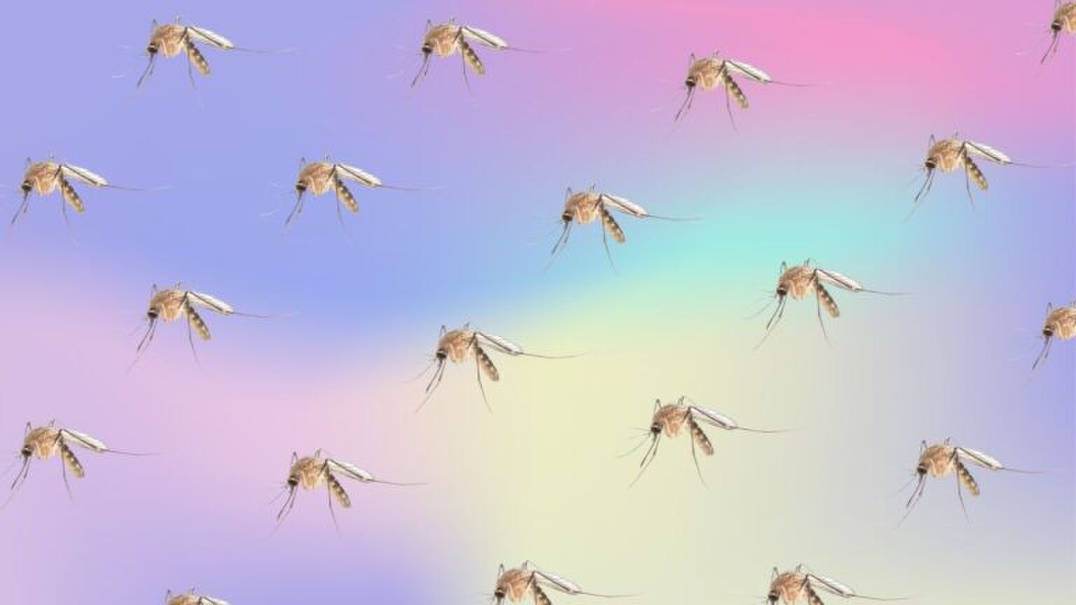 Illustratie van muggen.