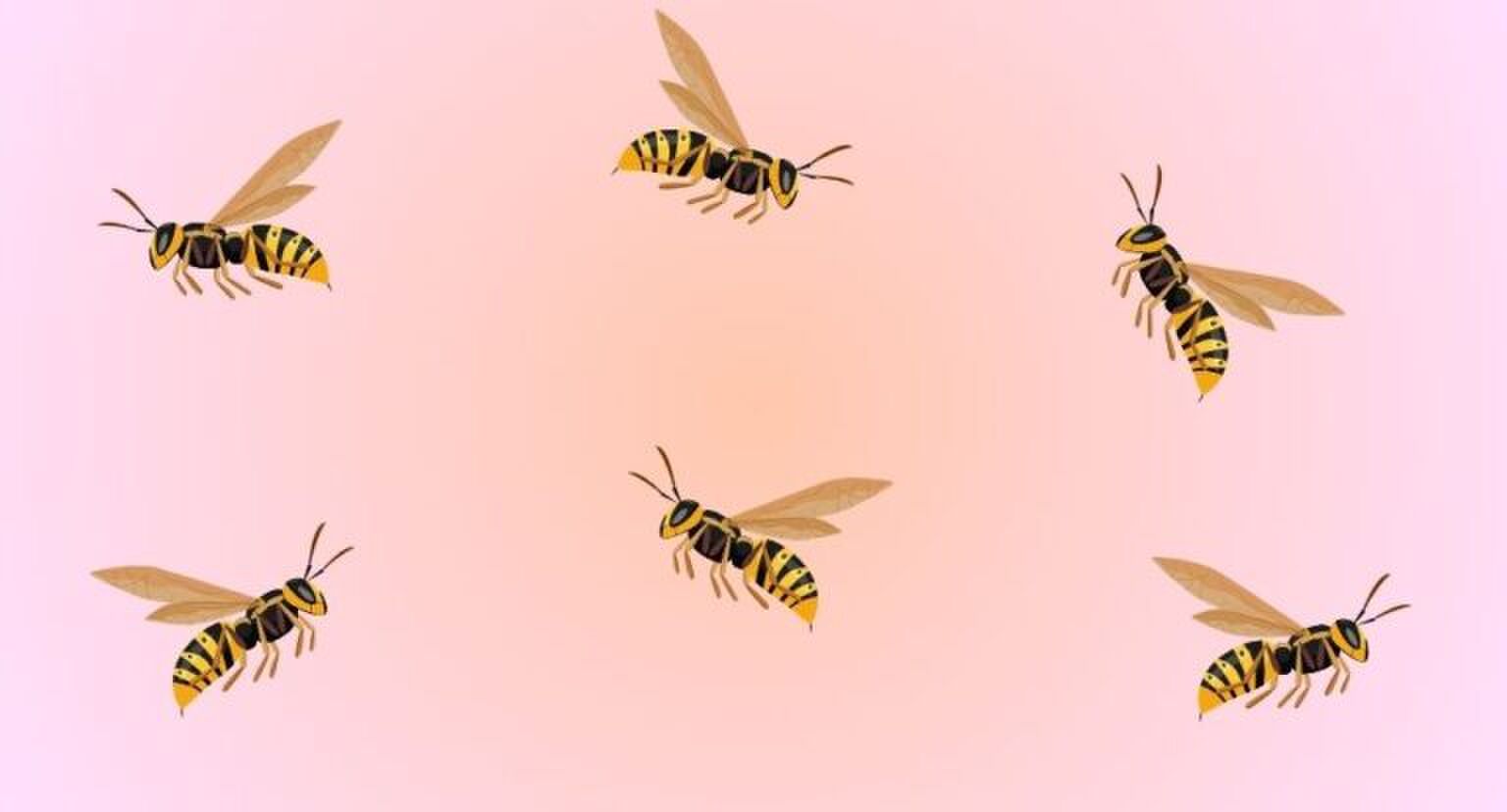 Zes wespen op een roze achtergrond.