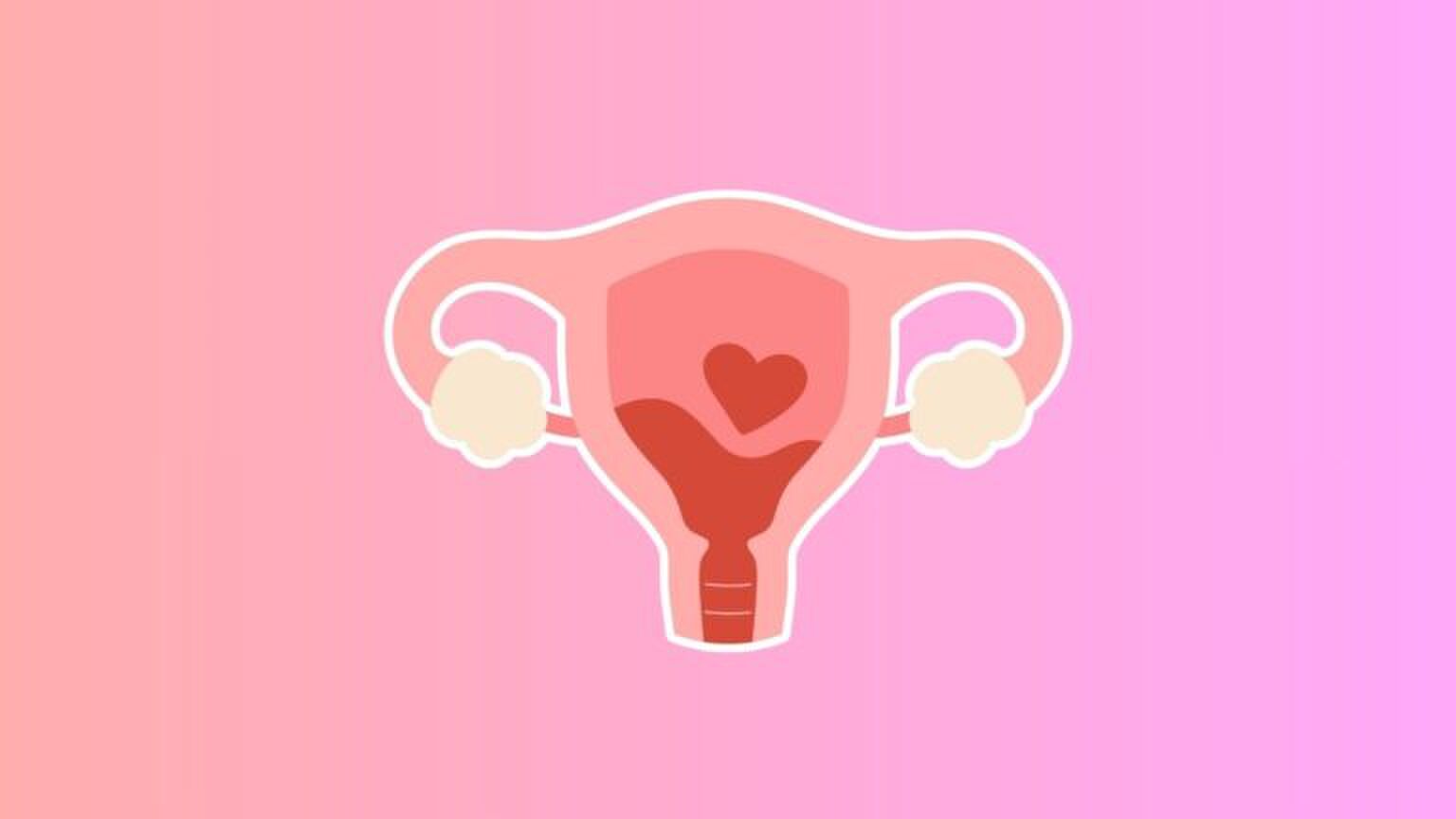 Illustratie van een baarmoeder.