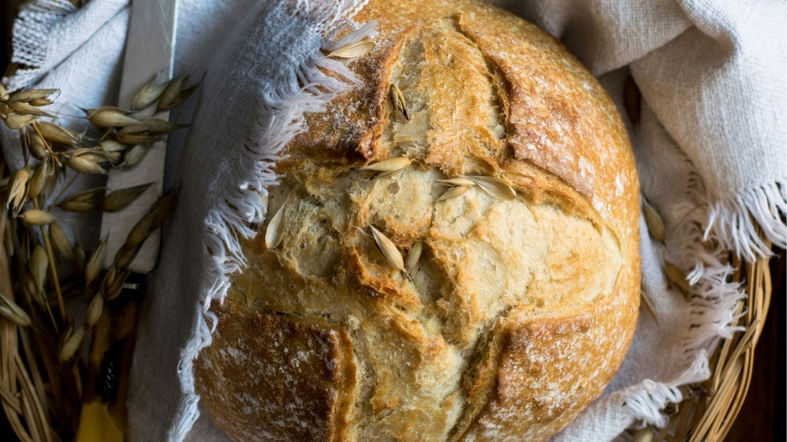 Brood.