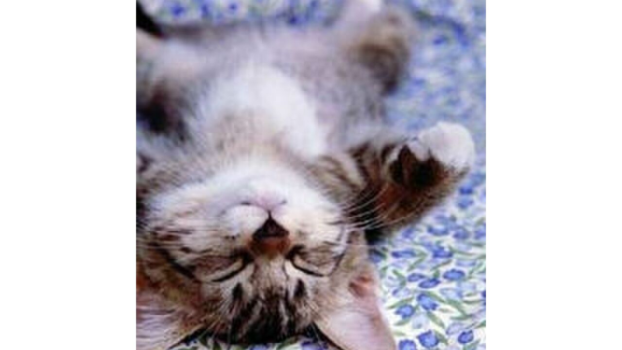 Illustratie voor: Zzz… 5 tips voor meer slaap