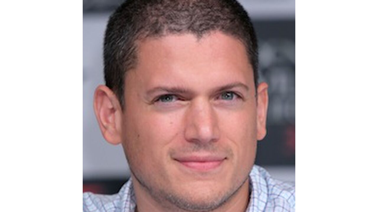 Illustratie voor: Wentworth Miller uit de kast