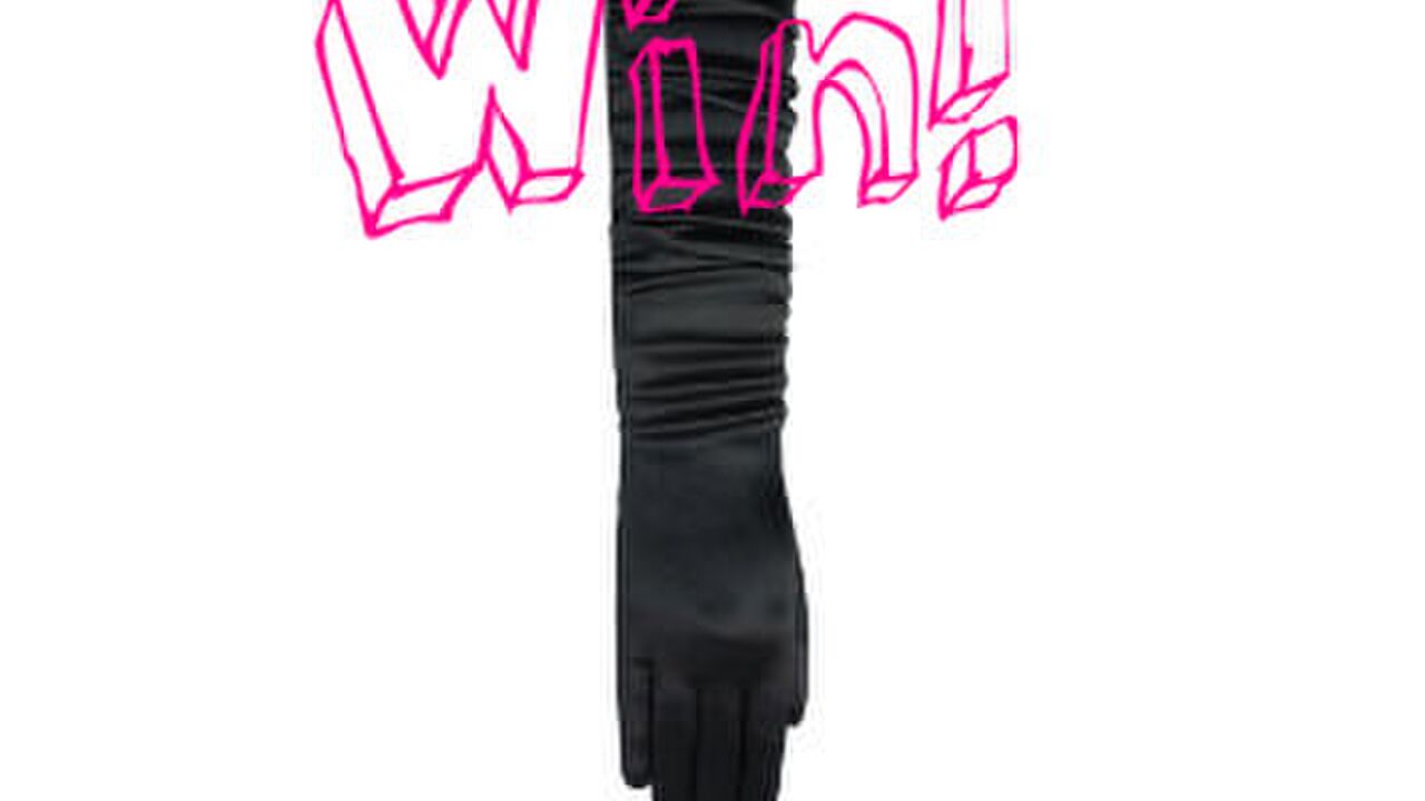 Illustratie voor: Win: 10x galahandschoenen van Laimböck