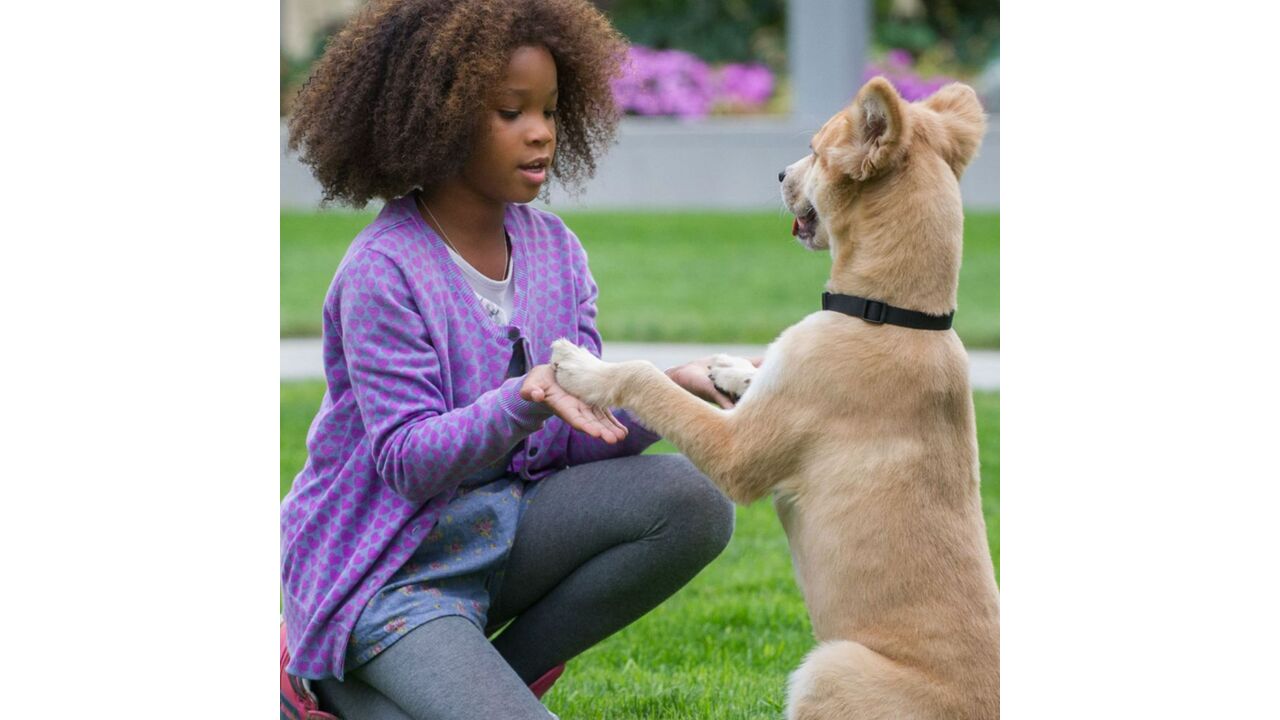 Illustratie voor: Trailer: Annie
