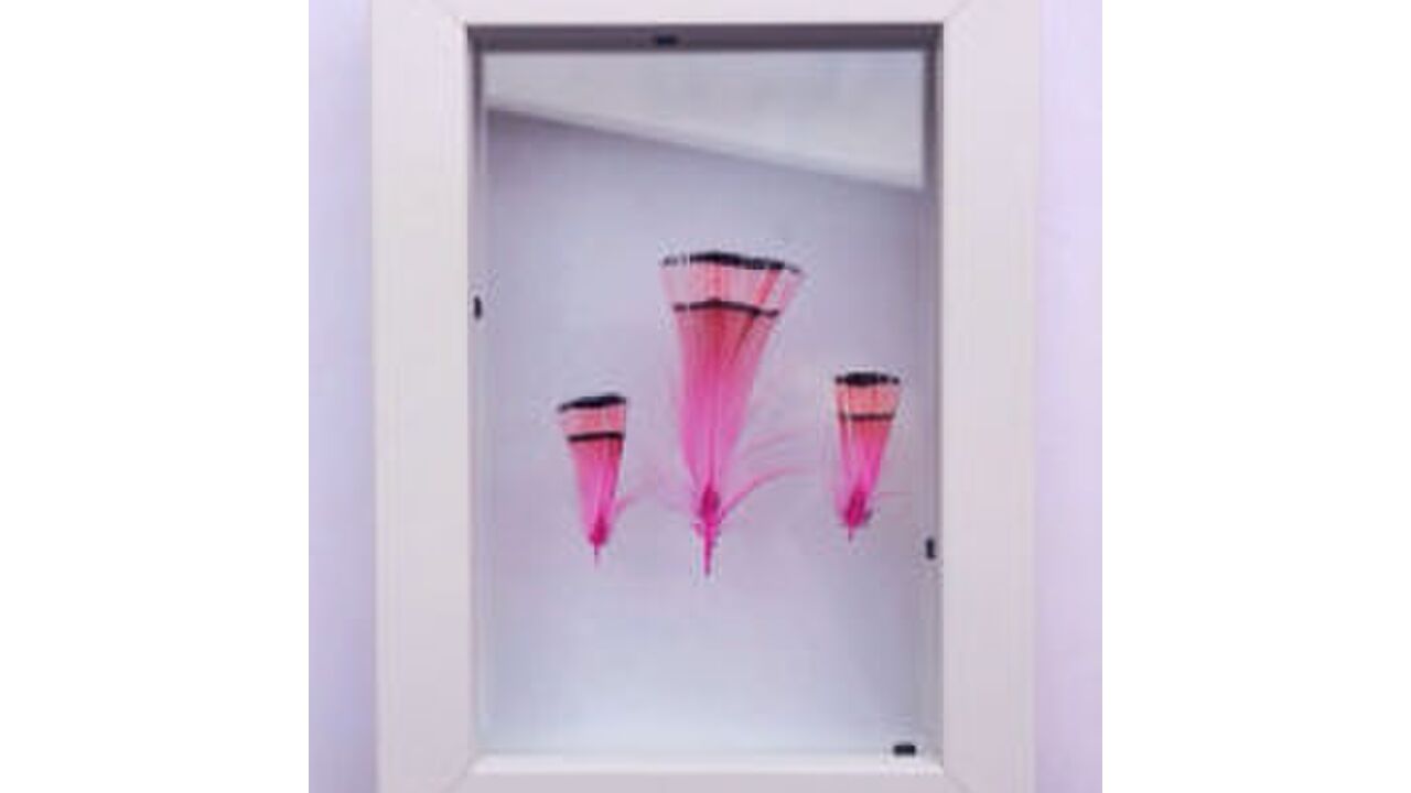 Illustratie voor: Win: ingelijste veren van Framed Fortune