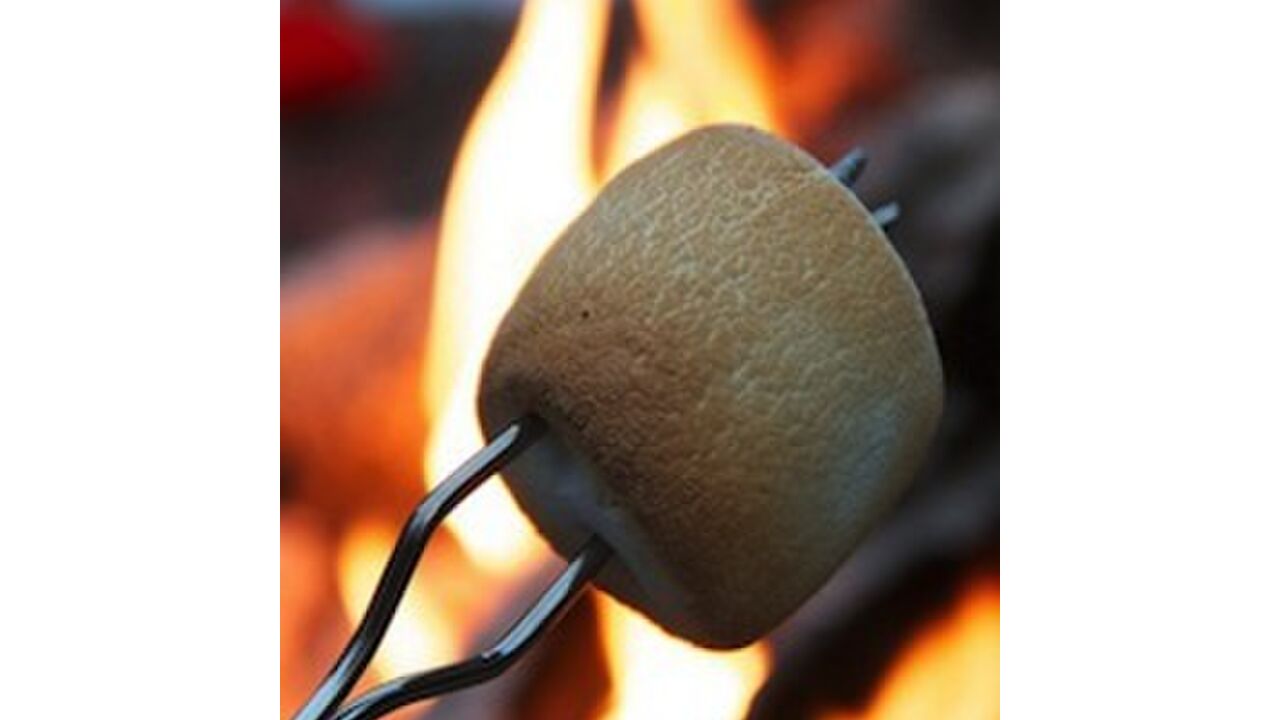 Illustratie voor: Hoe overleef ik een barbecue als vegetariër!