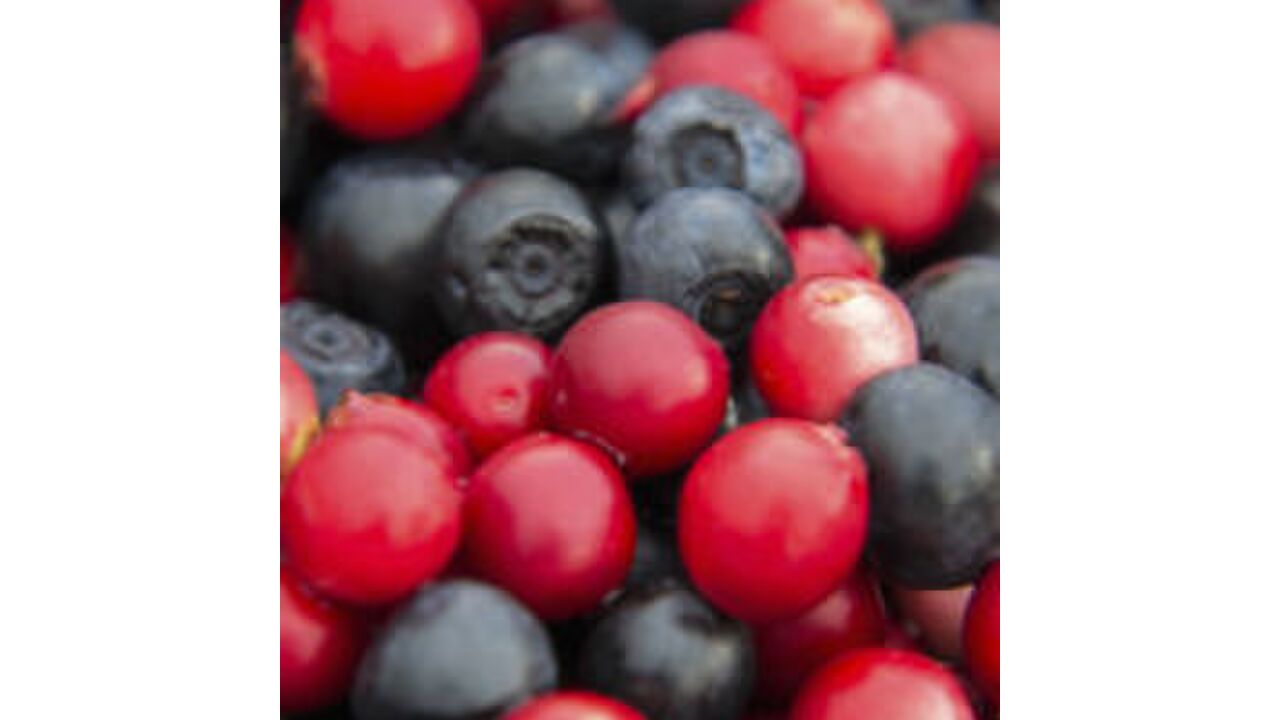 Illustratie voor: 9x gezonde food trends voor 2015