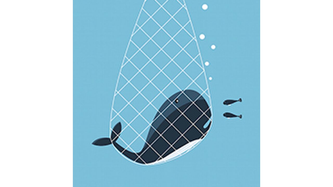 Illustratie voor: Kijktip: indrukwekkende documentaire Blackfish