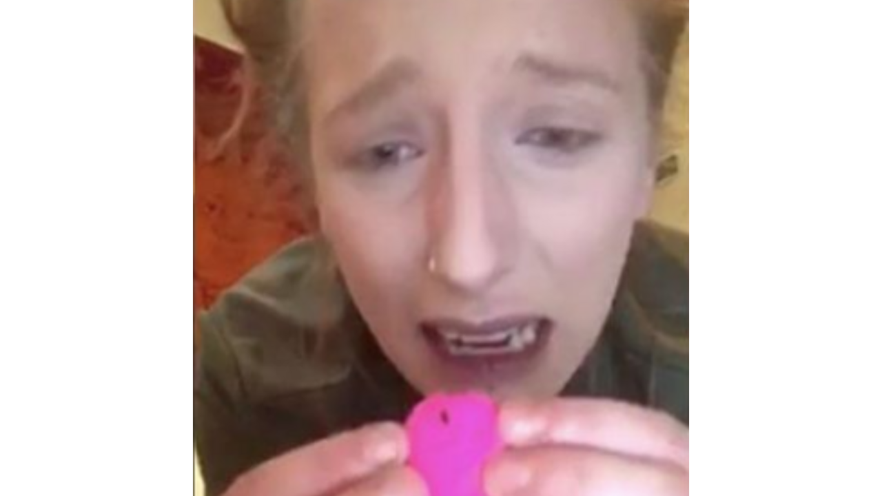 Illustratie voor: Meisje vindt insecten in haar Beautyblender en het is te vies voor woorden