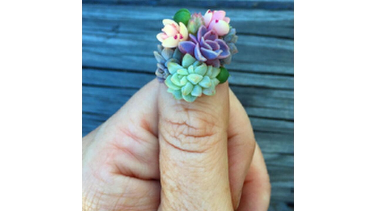 Illustratie voor: De meest bizarre nagellak trends van dit jaar