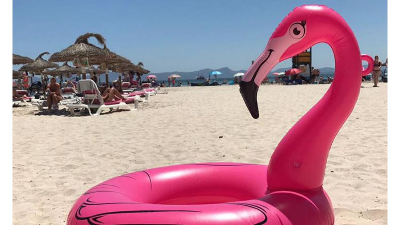 Illustratie voor: Zie jij waarom deze hilarische opblaas flamingo viral gaat?