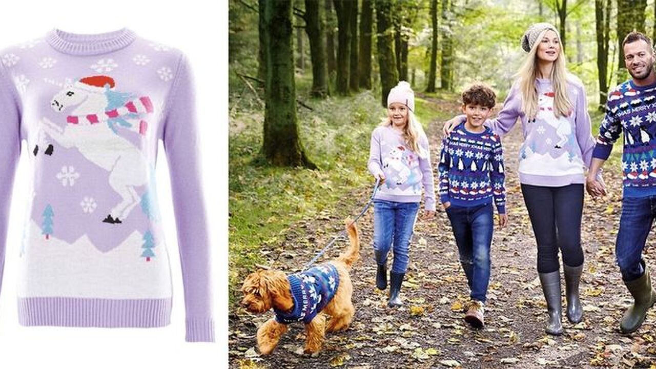 Illustratie voor: Déze budgetwinkel verkoopt matchende kersttruien voor jou en je hond