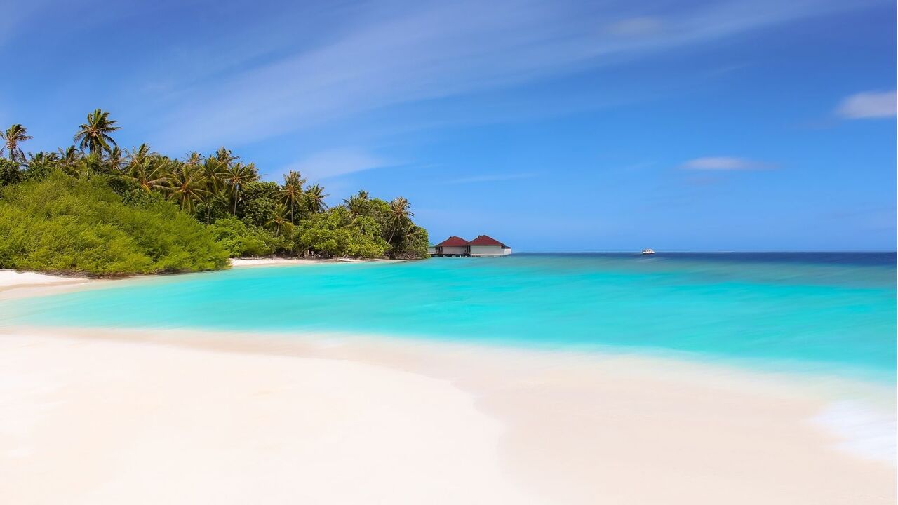 Illustratie voor: Hilarisch: Er is nu een lied over Temptation Island-koppel Tim en Deborah