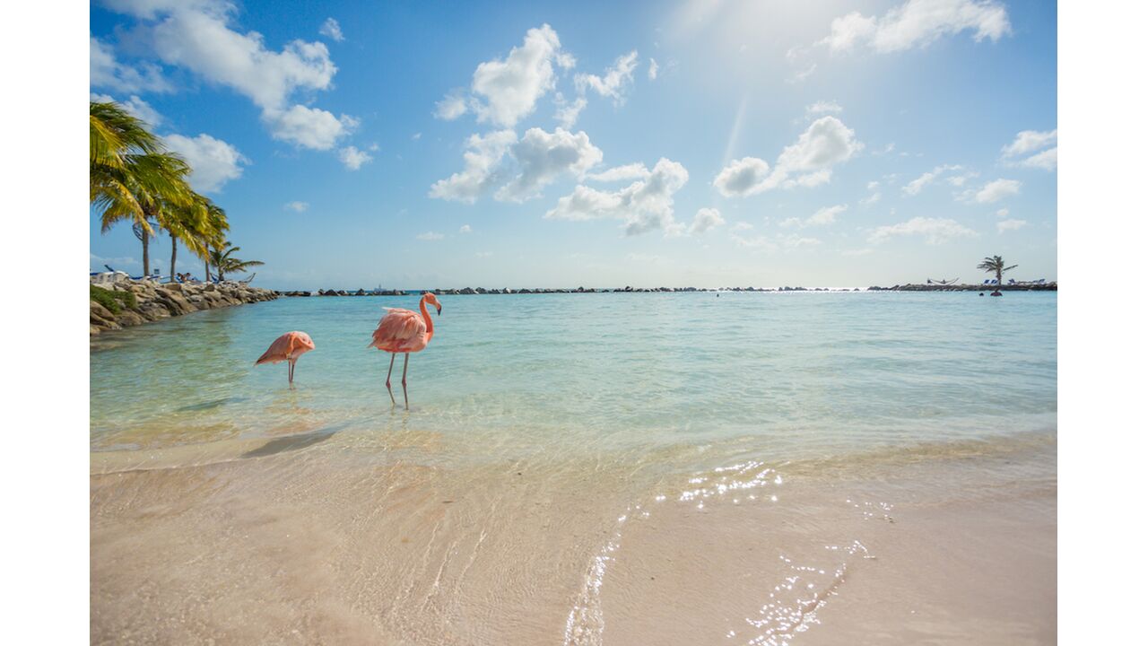 Illustratie voor: WIN: een reis naar Aruba of Bonaire in één simpele stap
