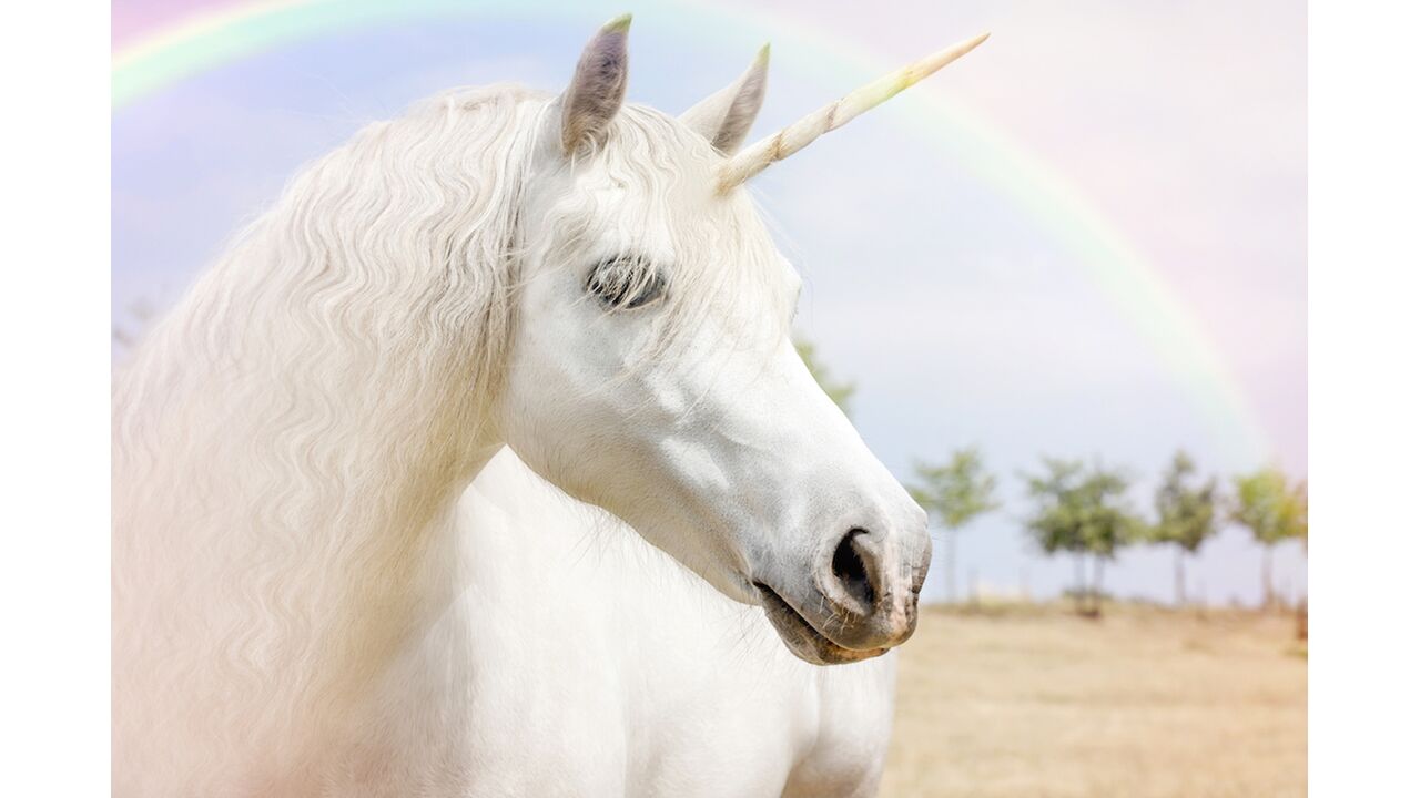 Illustratie voor: OMG! Er bestaat nu een unicorn opblaaseiland en dit moét je zien!